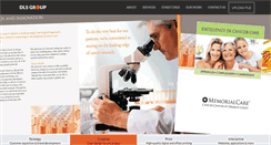 Desktop Screenshot of dlsgroup.net